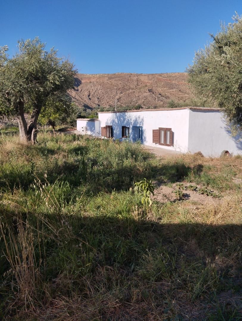 Vista exterior de Finca rústica en venda en Ugíjar amb Jardí privat, Terrassa i Moblat