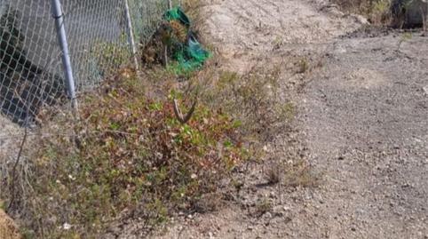 Finca rústica en venda a Barrio Medida, 30, El Escobonal - Pájara, Santa Cruz de Tenerife - imatge 2 Foto 2 de Finca rústica en venda a Barrio Medida, 30, El Escobonal - Pájara, Santa Cruz de Tenerife