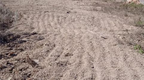 Finca rústica en venda a Barrio Medida, 30, El Escobonal - Pájara, Santa Cruz de Tenerife - imatge 3 Foto 3 de Finca rústica en venda a Barrio Medida, 30, El Escobonal - Pájara, Santa Cruz de Tenerife