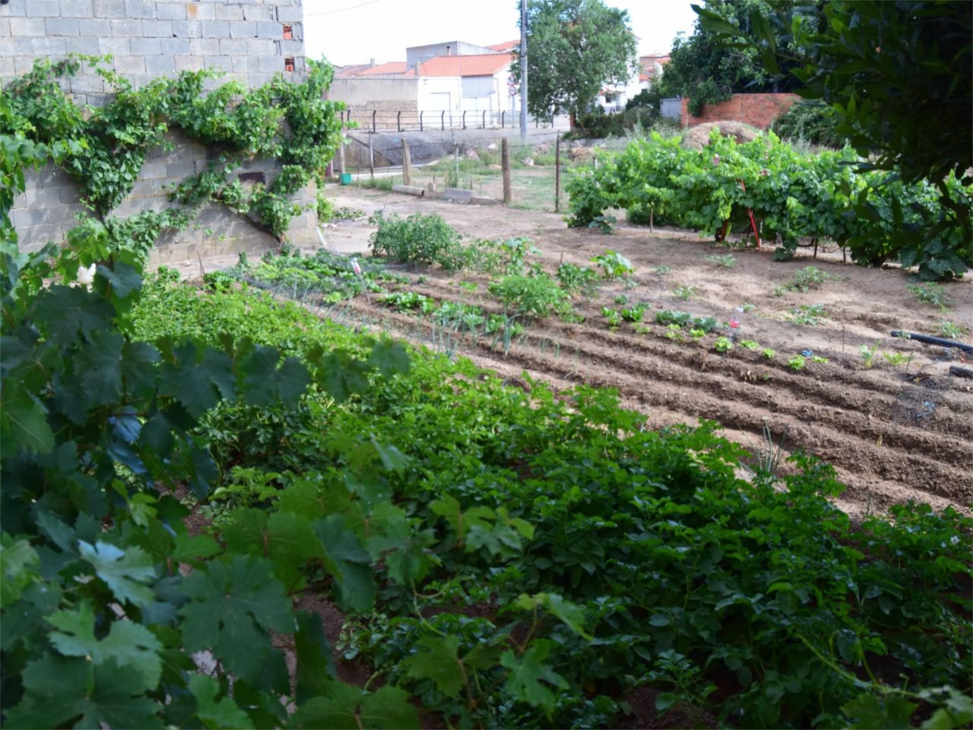 Jardí de Planta baixa en venda en Cubillos
