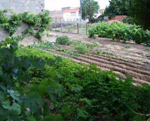 Jardí de Planta baixa en venda en Cubillos