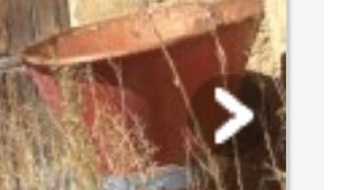 Foto 3 de Planta baixa en venda a Calle Gaspar de Tordesillas, 1a, Cuatro de Marzo, Valladolid