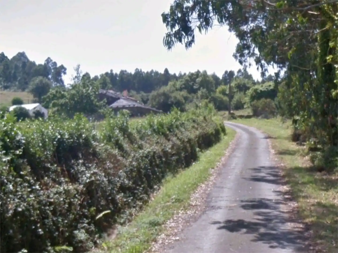 Planta baixa en venda en Ortigueira