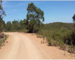 No Urbanitzable en venda en El Madroño