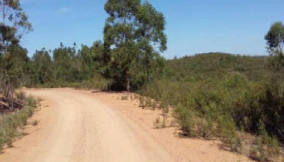 Foto 1 de No Urbanitzable en venda a Calle Francisco Delgado Alonso, 37, El Madroño, Sevilla