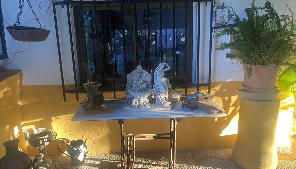 Piso de alquiler en Lugar Los Arenalejos, 46, Medina Sidonia, Cádiz - imagen 1 Foto 1 de Piso de alquiler en Lugar Los Arenalejos, 46, Medina Sidonia, Cádiz