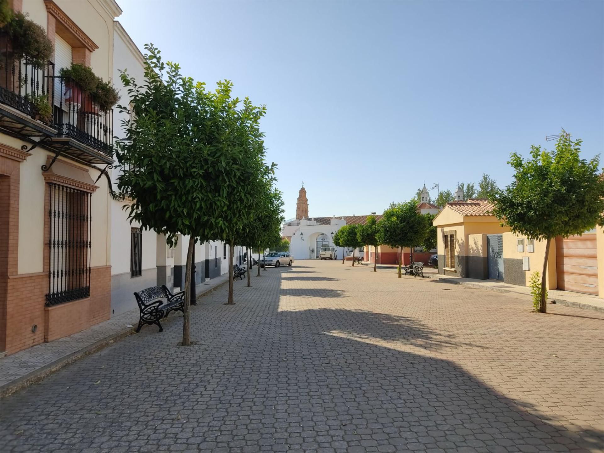 Exterior view of Flat for sale in Bienvenida  with Terrace