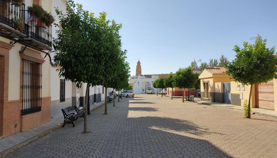 Flat for sale in Calle Virgen, 53, Bienvenida, Badajoz - image 1 Photo 1 of Flat for sale in Calle Virgen, 53, Bienvenida, Badajoz