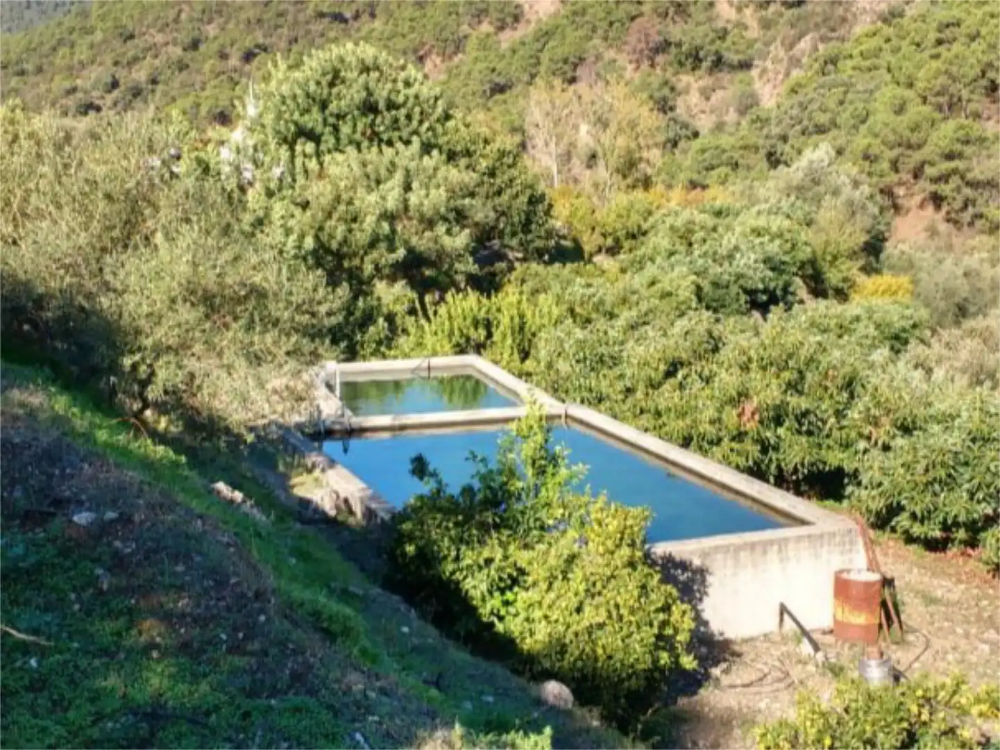 Finca rústica en venta en Istán Piscina de Finca rústica en venta en Istán