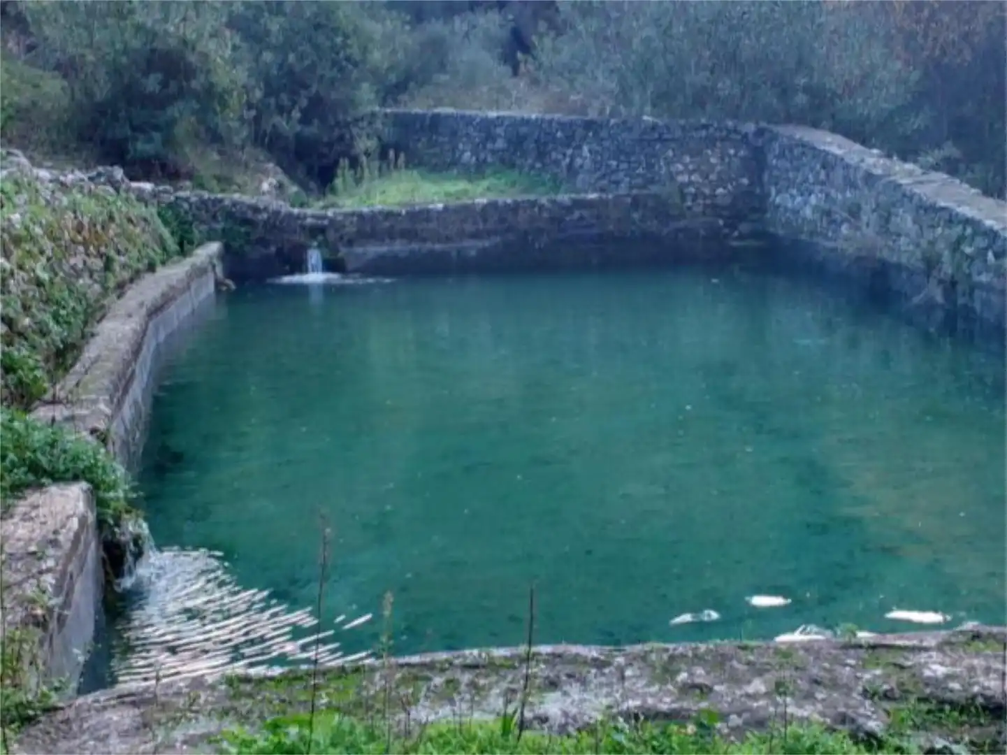 Finca rústica en venta en Istán Piscina de Finca rústica en venta en Istán