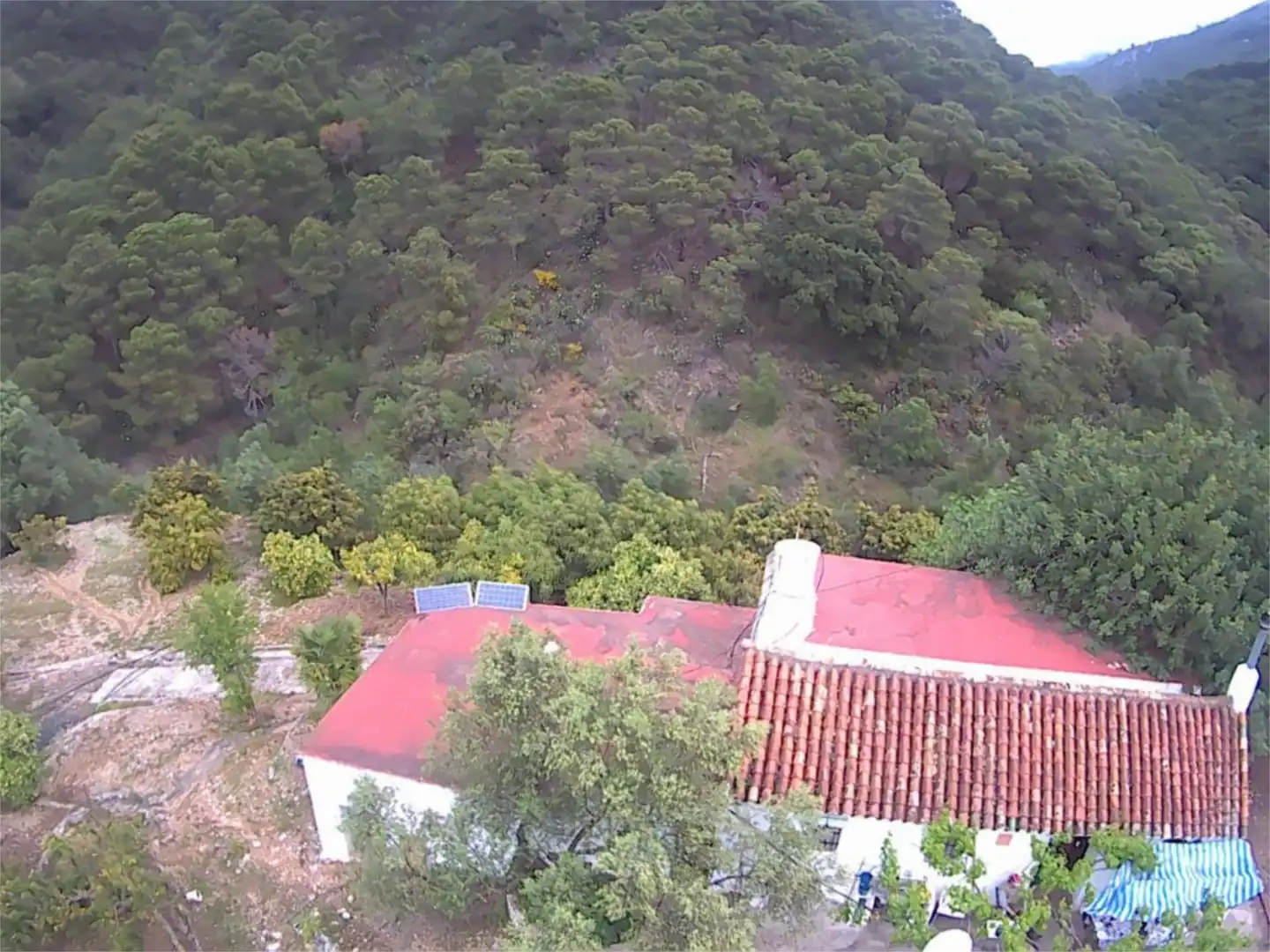 Finca rústica en venta en Istán Finca rústica en venta en Istán
