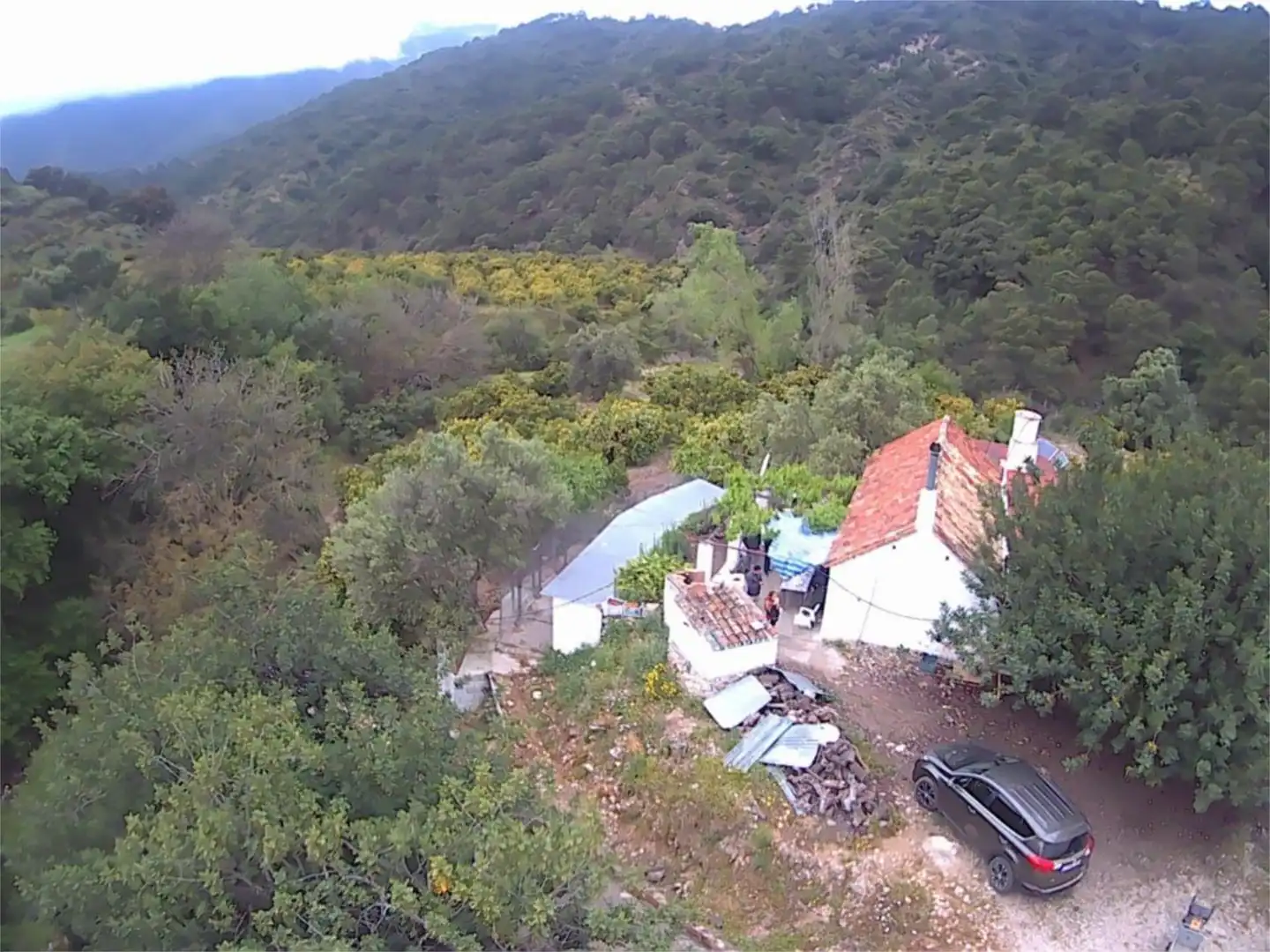 Finca rústica en venta en Istán Finca rústica en venta en Istán