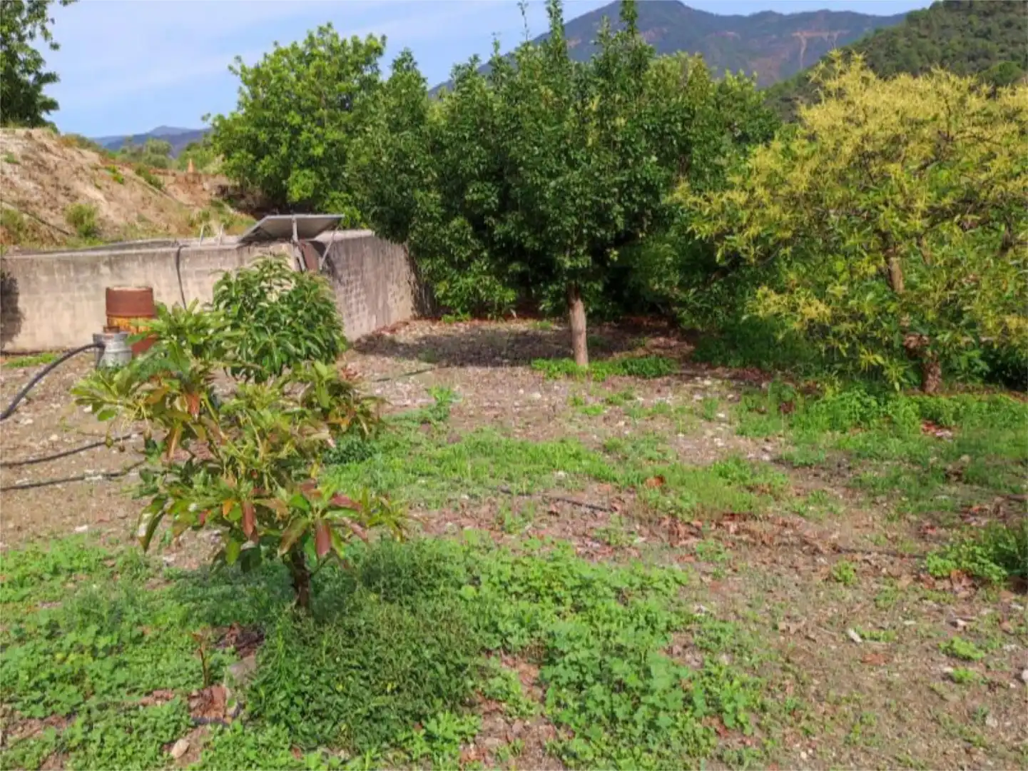 Finca rústica en venta en Istán Finca rústica en venta en Istán