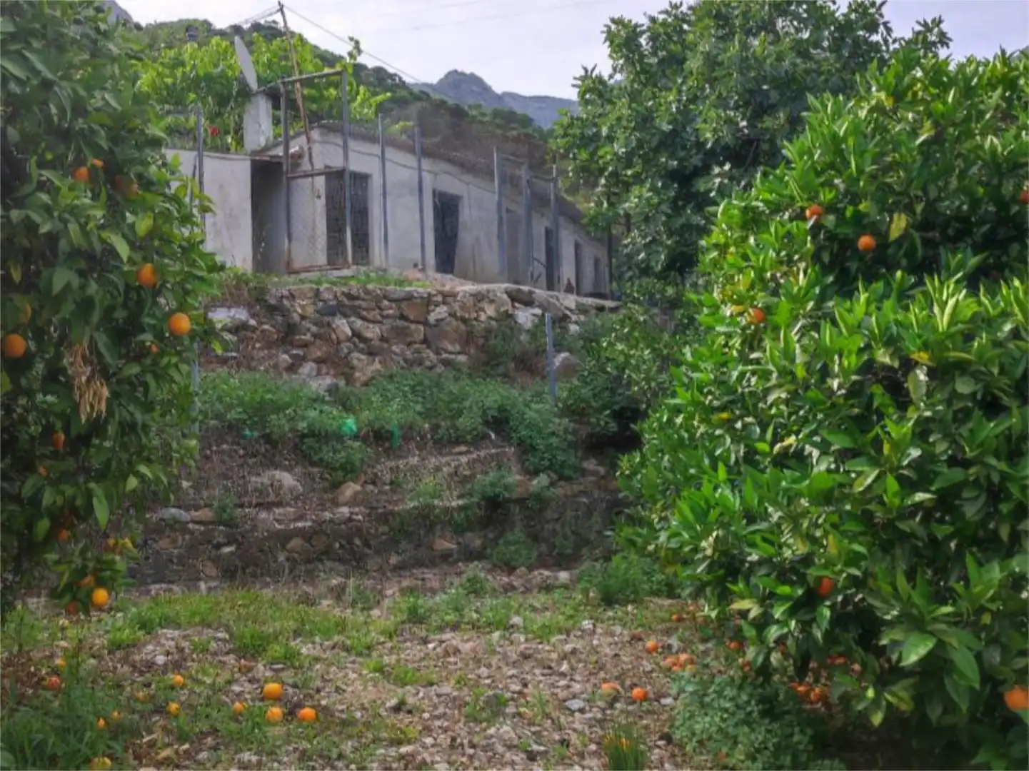 Finca rústica en venta en Istán Finca rústica en venta en Istán