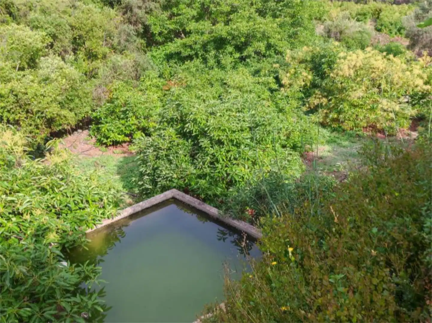 Finca rústica en venta en Istán Jardín de Finca rústica en venta en Istán