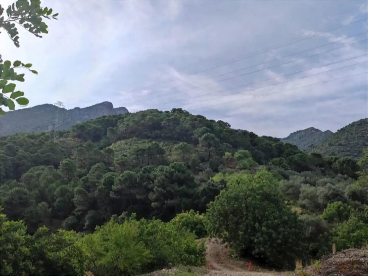 Finca rústica en venta en Istán Finca rústica en venta en Istán