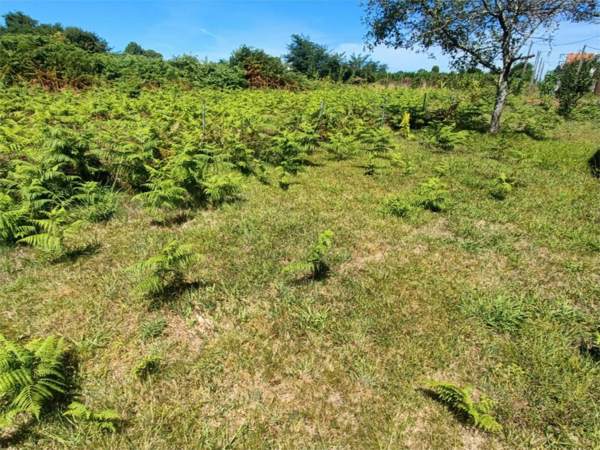 Land for sale in Mugardos
