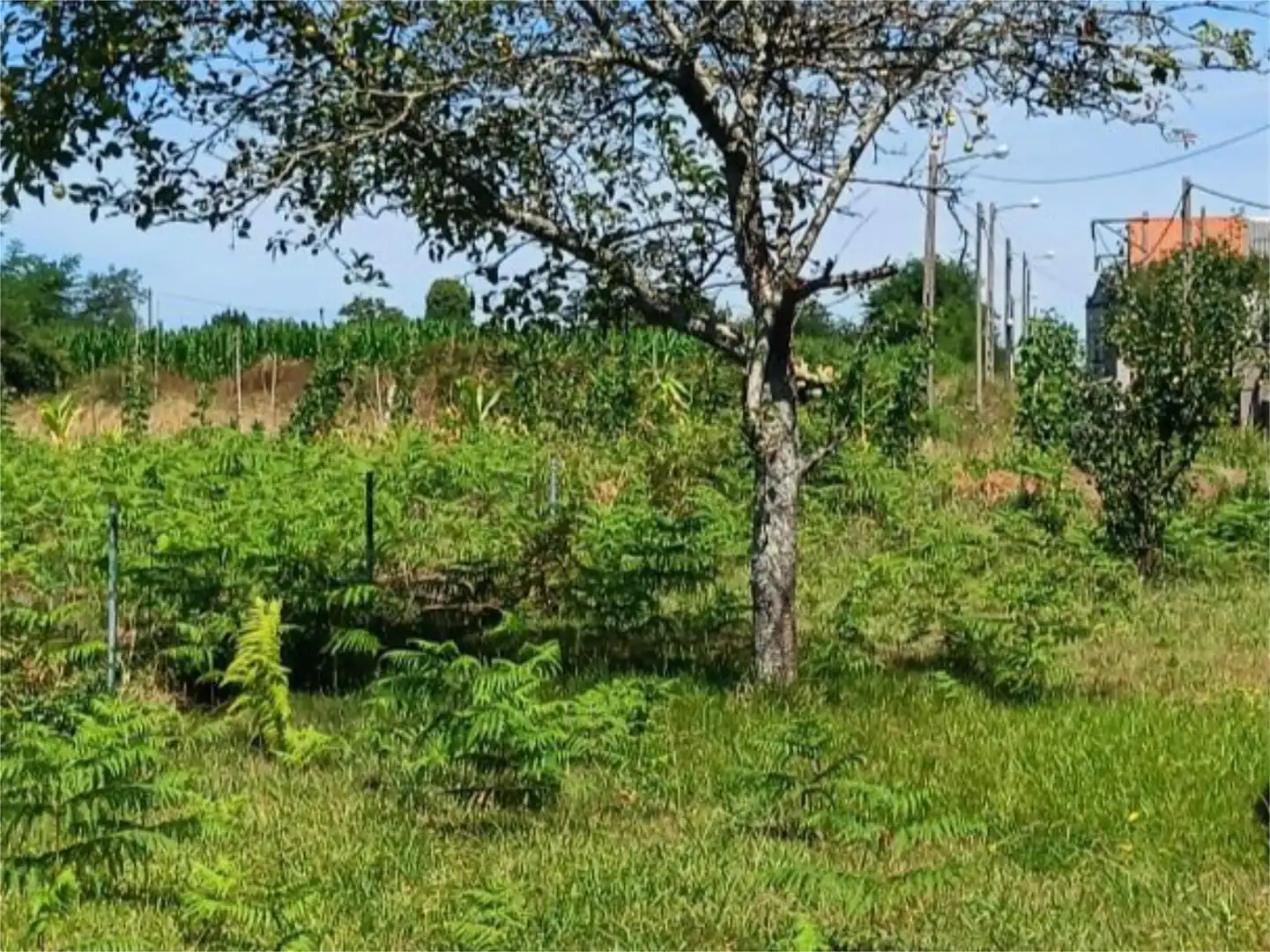 Terreno en venta en Rúa Galiñeiro, 43, Mugardos Terreno en venta en Mugardos