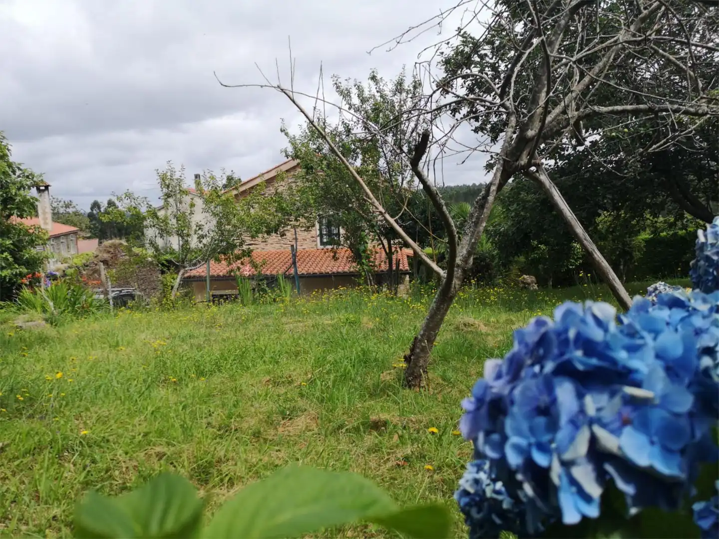 Casa o chalet en venta en Touro