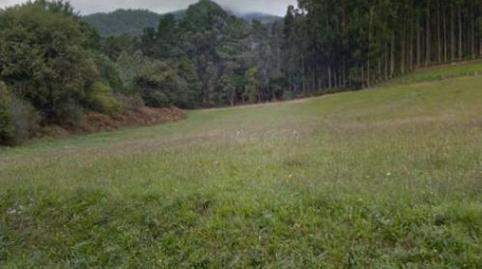 Foto 2 de No Urbanitzable en venda a Markaida Bidea, 34, Mungia, Bizkaia