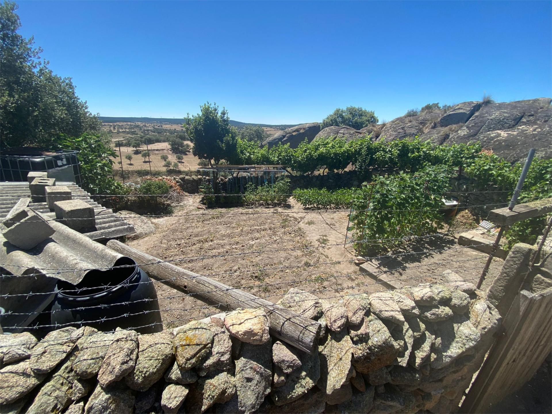 Garden of Land for sale in Peñausende