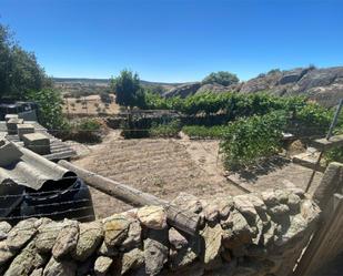 Jardí de Terreny en venda en Peñausende