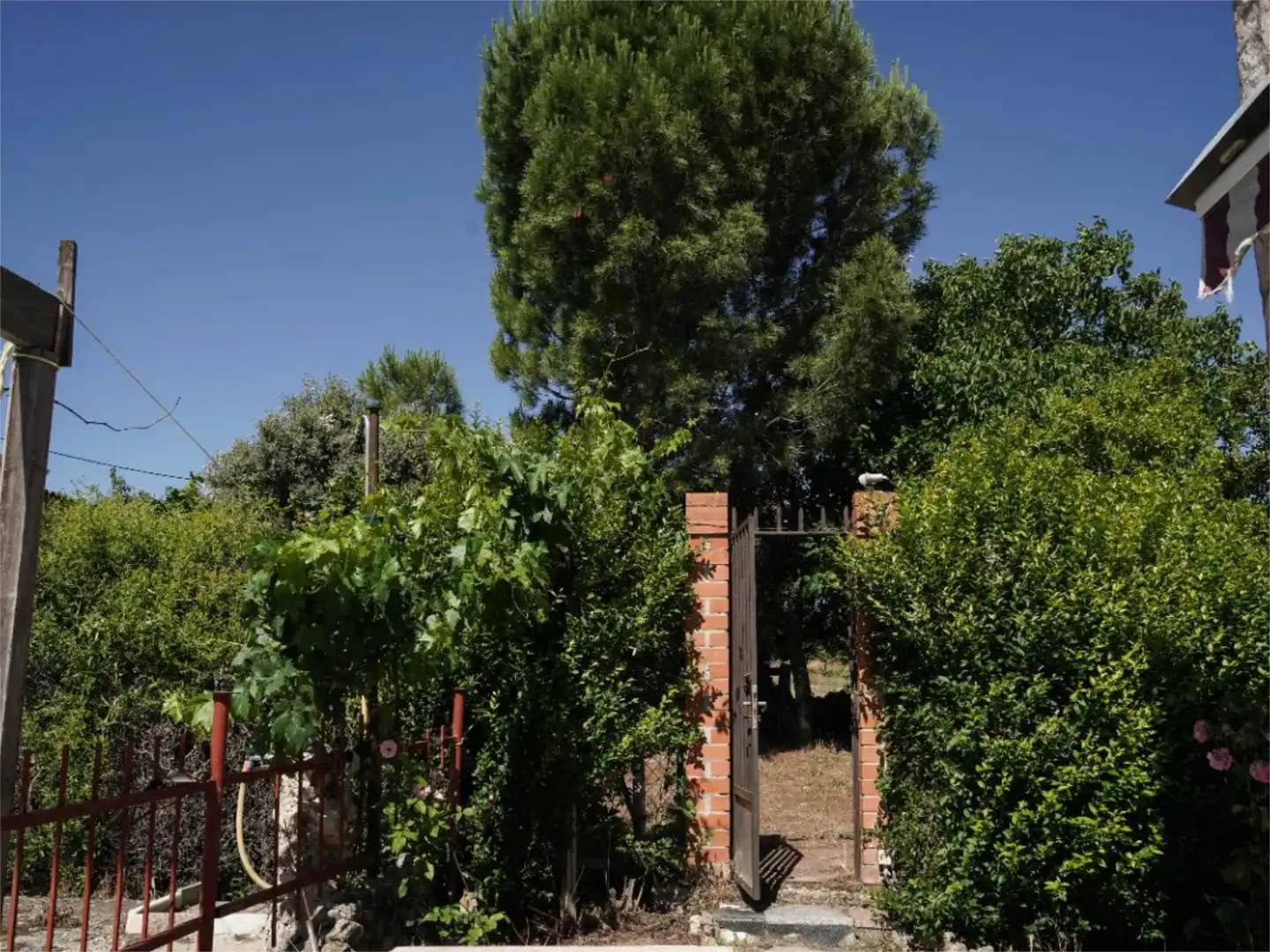Jardí de Pis en venda en Cigales amb Terrassa i Piscina