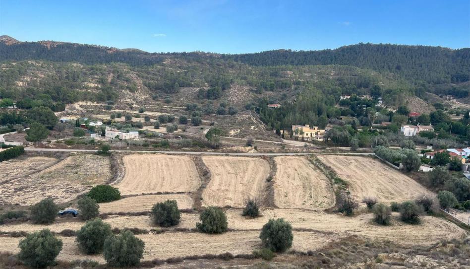 Foto 1 de Terreno en venta en Camino de Los Puros, 18, Algezares, Murcia