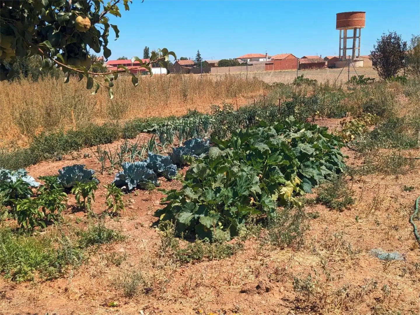 Houses for sale in Lugar Gordaliza Pino, 2, Gordaliza del Pino Garden of Houses for sale in Gordaliza del Pino with Private garden