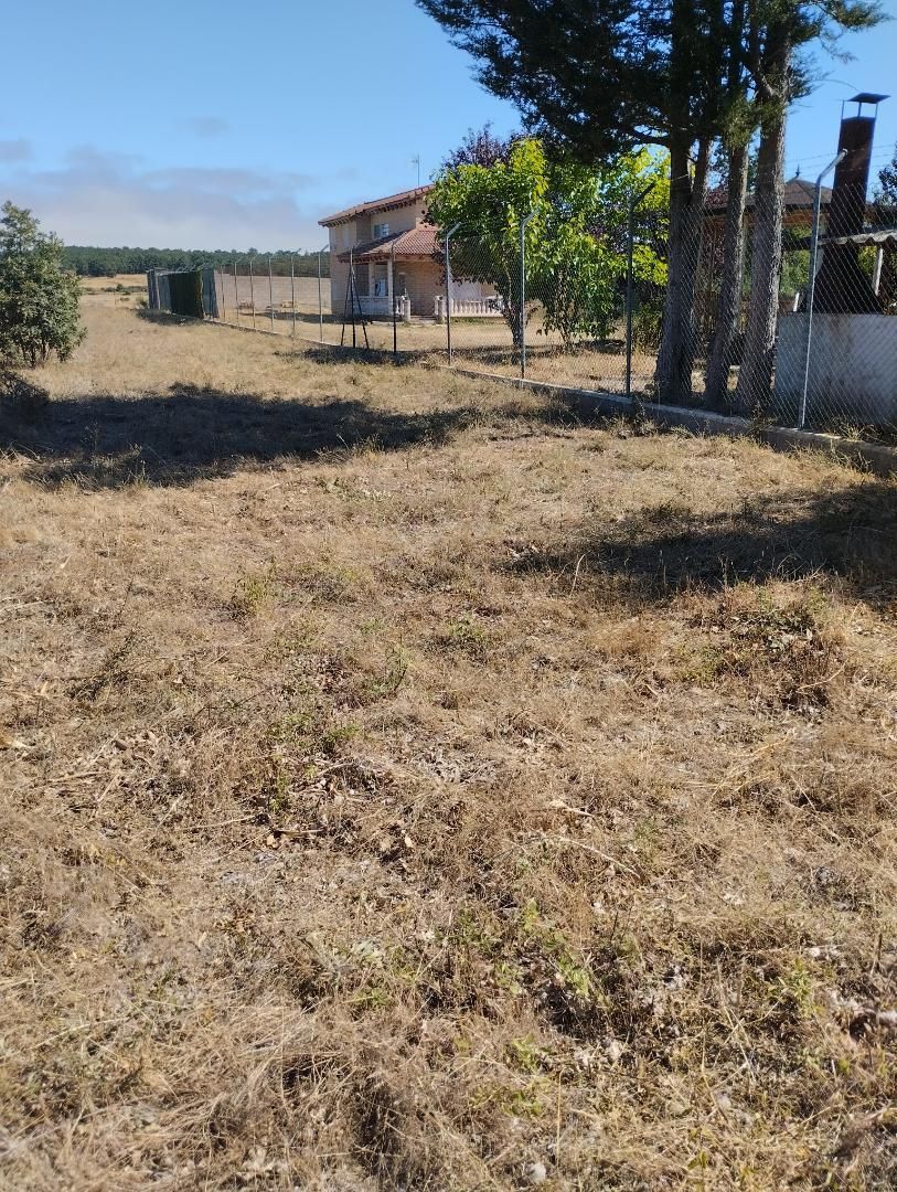 Land for sale in Arlanzón