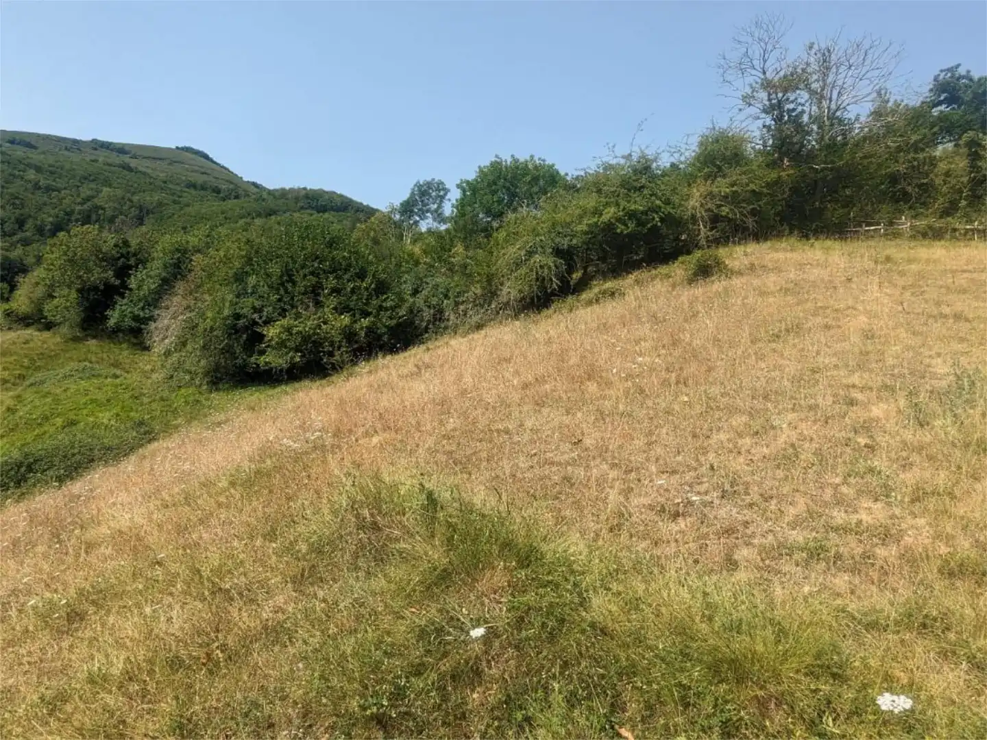 Non-constructible Land for sale in Barrio Grupo Viviendas Santa Bárbara, 4, Teverga Non-constructible Land for sale in Teverga