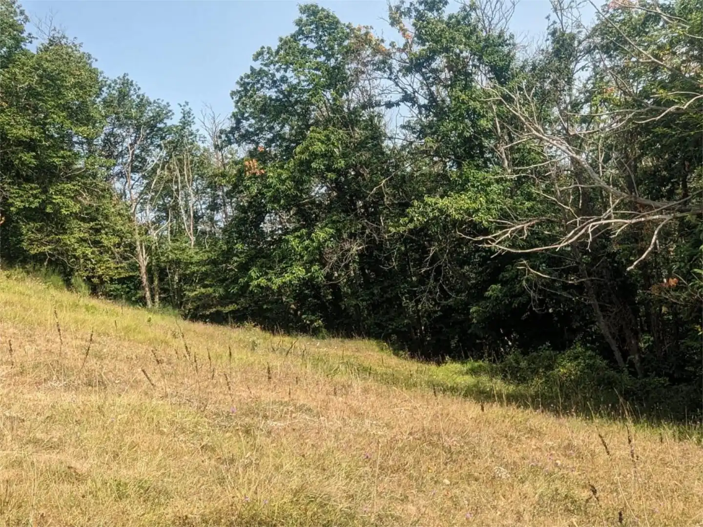 Non-constructible Land for sale in Barrio Grupo Viviendas Santa Bárbara, 4, Teverga Non-constructible Land for sale in Teverga