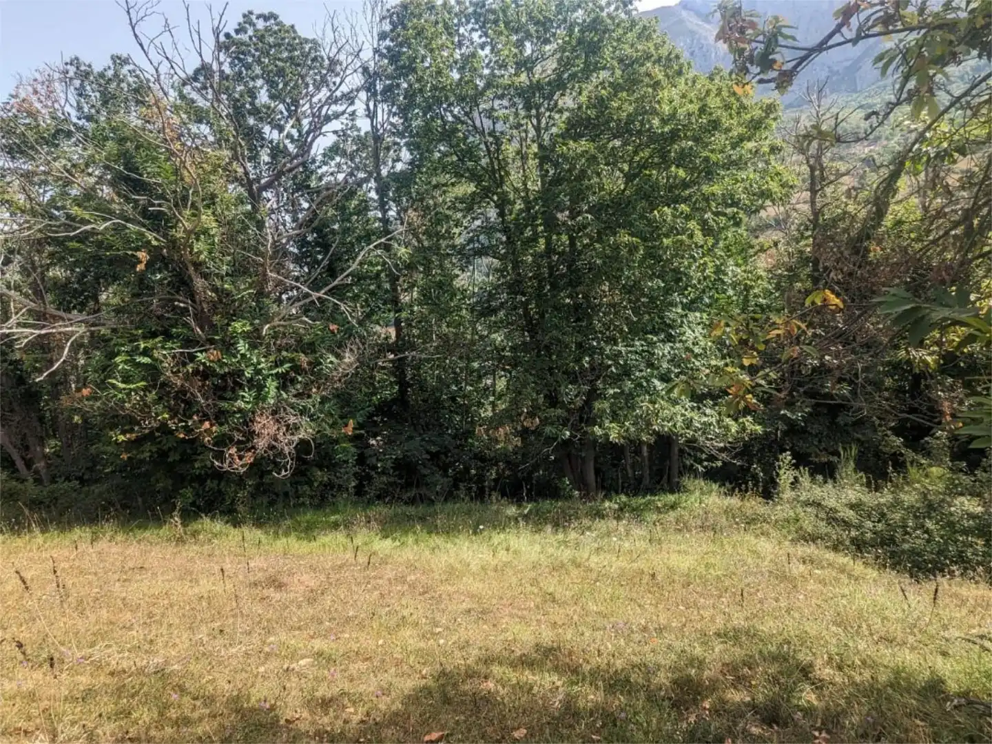 Non-constructible Land for sale in Barrio Grupo Viviendas Santa Bárbara, 4, Teverga Non-constructible Land for sale in Teverga
