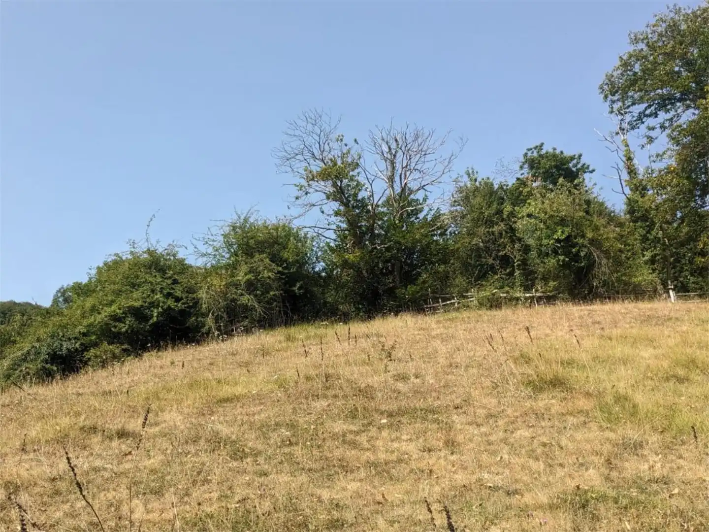 Non-constructible Land for sale in Barrio Grupo Viviendas Santa Bárbara, 4, Teverga Non-constructible Land for sale in Teverga