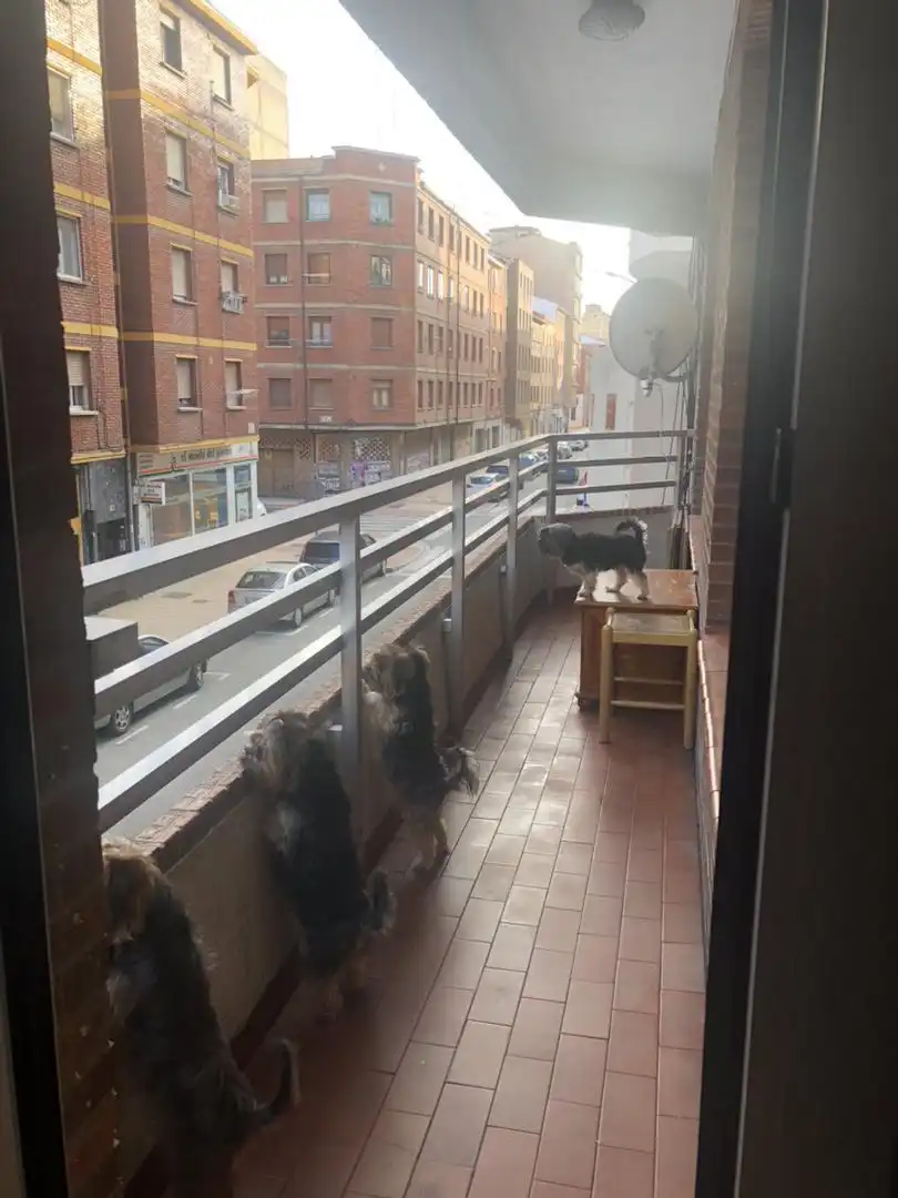 Terrassa de Pis en venda en Miranda de Ebro amb Calefacció, Parquet i Terrassa