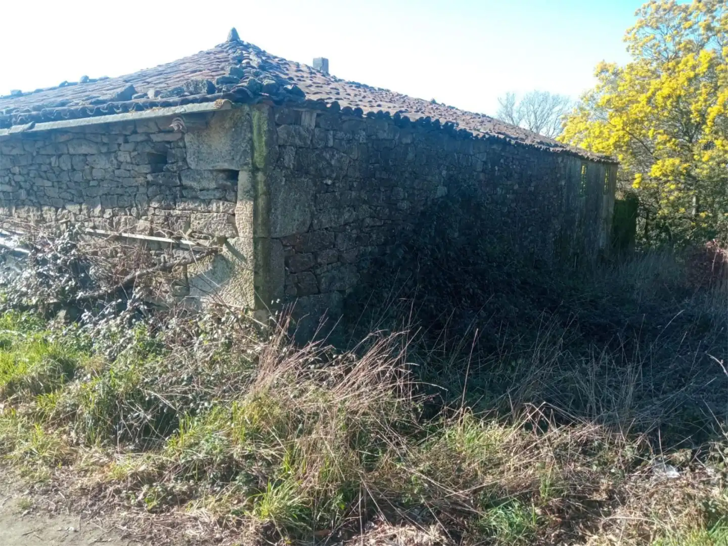 Planta baixa en venda en Monterroso