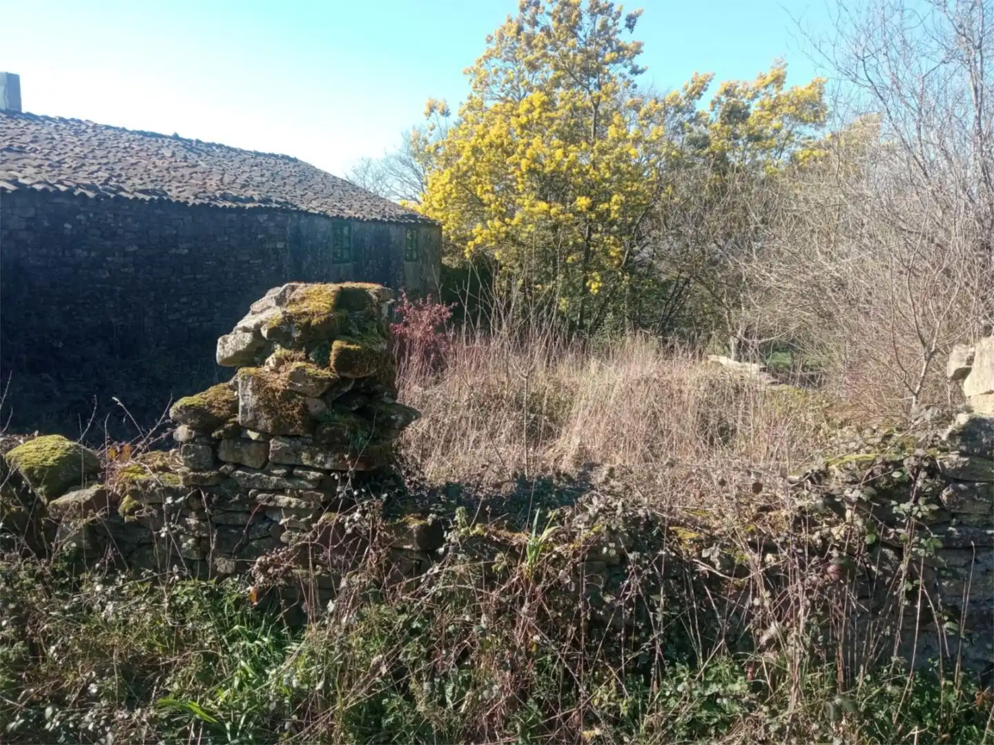 Planta baixa en venda en Monterroso
