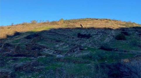 Foto 3 de Urbanizable en venta en Calle del Cabezo, 20, Patones, Madrid