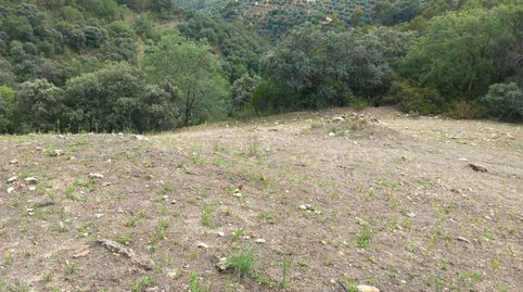 Foto 4 de Terreno en venta en La Iruela, Jaén