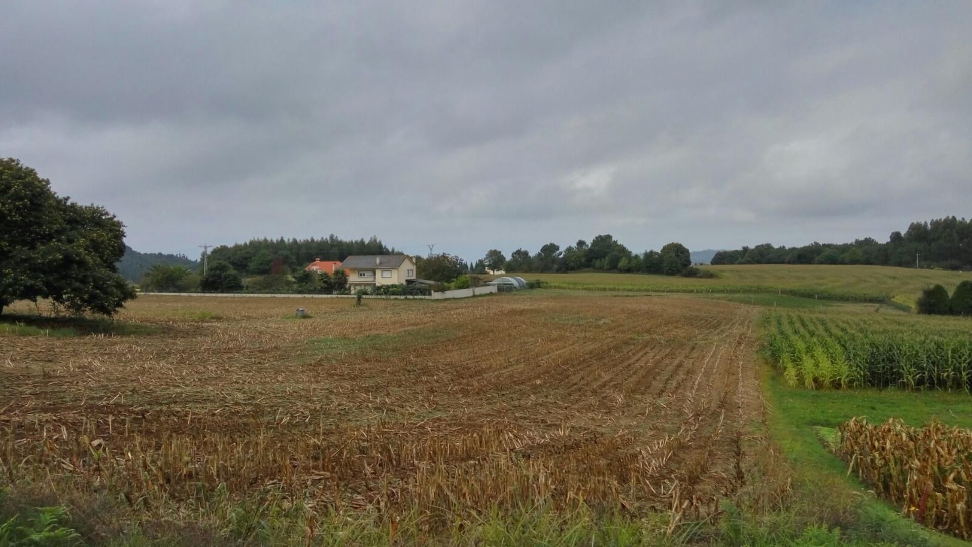 Finca rústica en venda en Irixoa