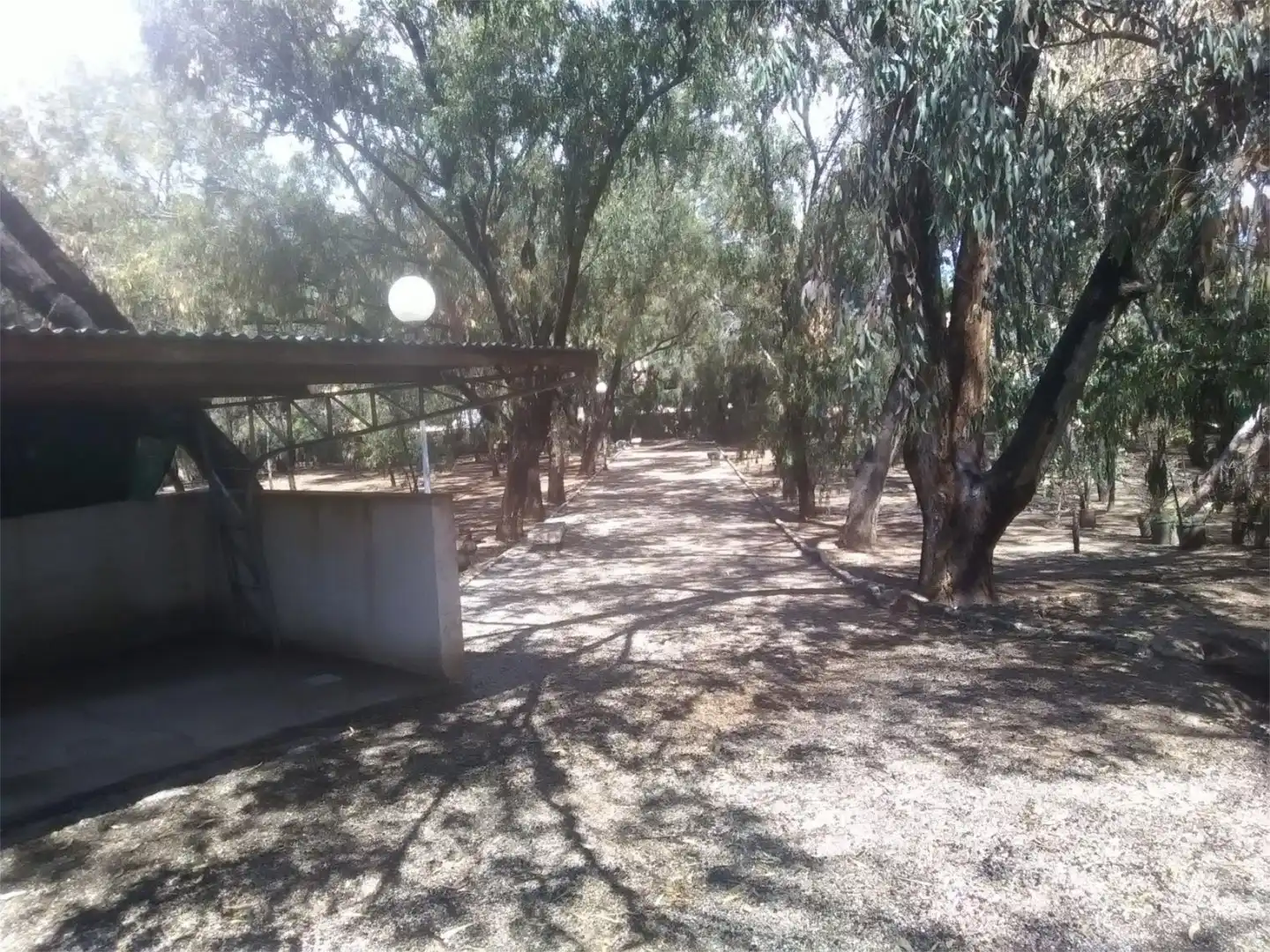 Jardí de Casa o xalet en venda en Alicante / Alacant amb Calefacció, Jardí privat i Parquet