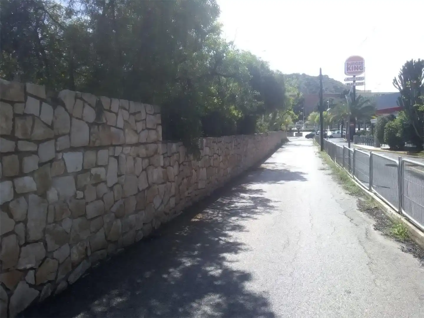 Vista exterior de Casa o xalet en venda en Alicante / Alacant amb Calefacció, Jardí privat i Parquet