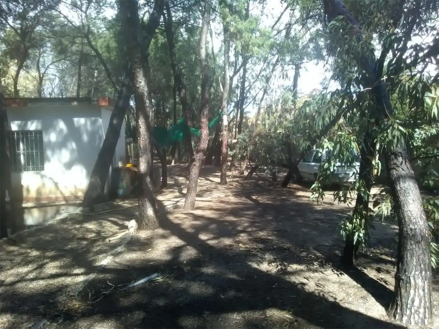 Casa o xalet en venda en Alicante / Alacant amb Calefacció, Jardí privat i Parquet