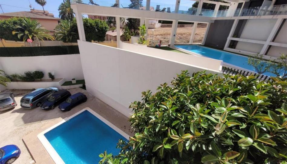 Flat to rent in Avinguda Valencia, 16, Manzanera - Tosal, Alicante - image 1 Photo 1 of Flat to rent in Avinguda Valencia, 16, Manzanera - Tosal, Alicante