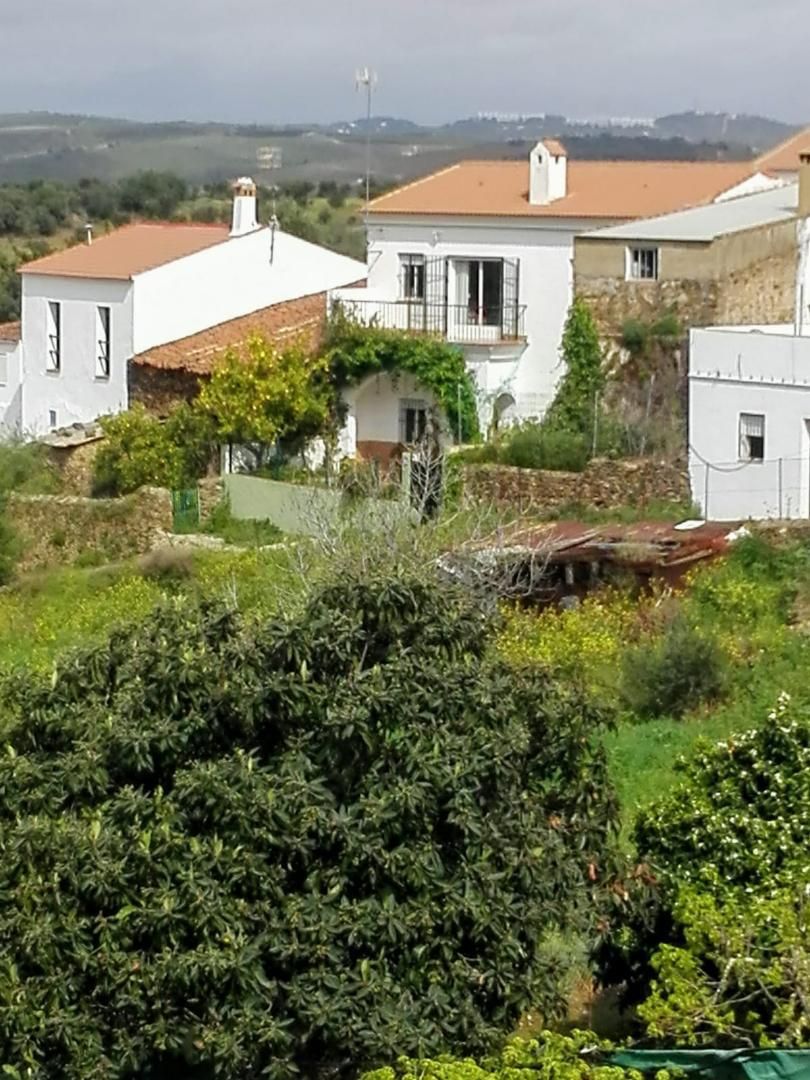 Garden of House or chalet for sale in Zalamea la Real  with Terrace and Balcony
