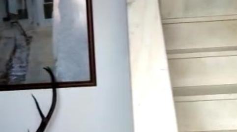 Flat for sale in Calle Diego Franco, 21b, Hinojos, Huelva - image 3 Photo 3 of Flat for sale in Calle Diego Franco, 21b, Hinojos, Huelva