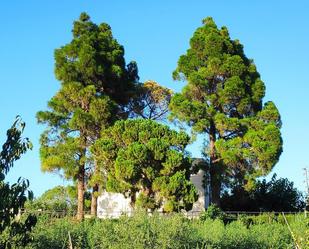 Jardí de Finca rústica en venda en Vinyols i els Arcs amb Aire condicionat, Terrassa i Piscina