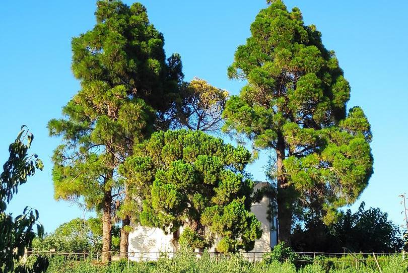 Photo 1 of Country house for sale in Camí de Les Deveses, 6, Vinyols i els Arcs, Tarragona