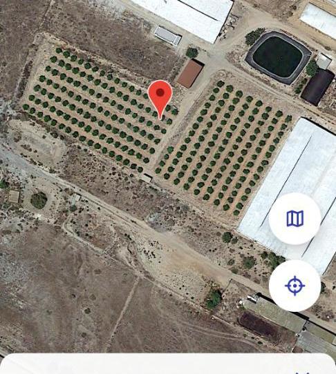 Country house for sale in Diseminado Almendricos, 2, Pozo Higuera, Murcia - image 1 Photo 1 of Country house for sale in Diseminado Almendricos, 2, Pozo Higuera, Murcia