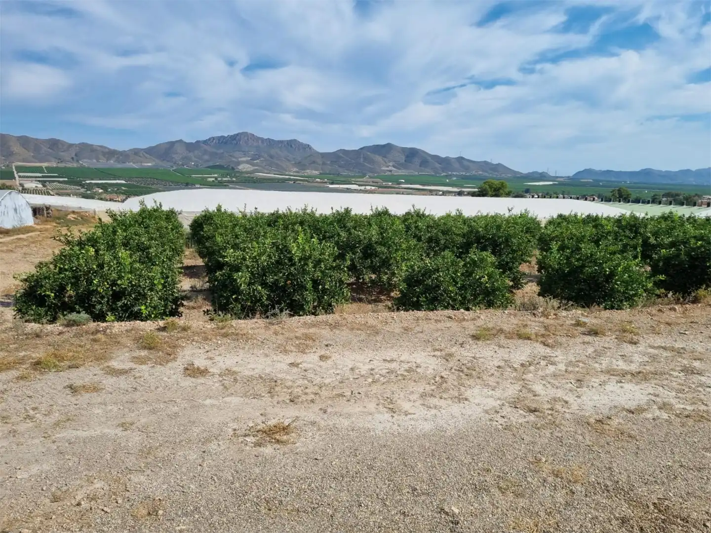 Country homes for sale in Diseminado Almendricos, 2, Pozo Higuera Country homes for sale in Lorca